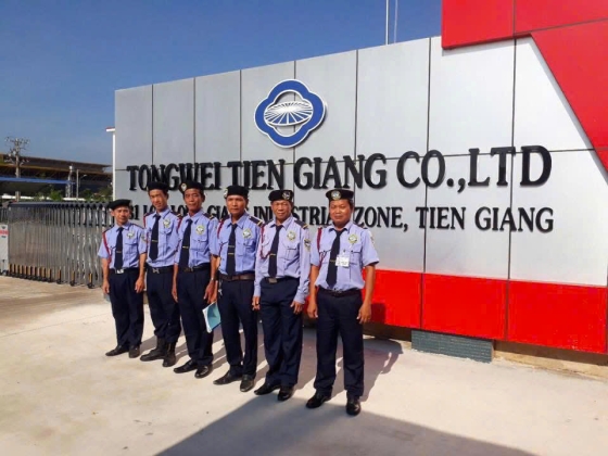 Dịch vụ trọn gói cố định